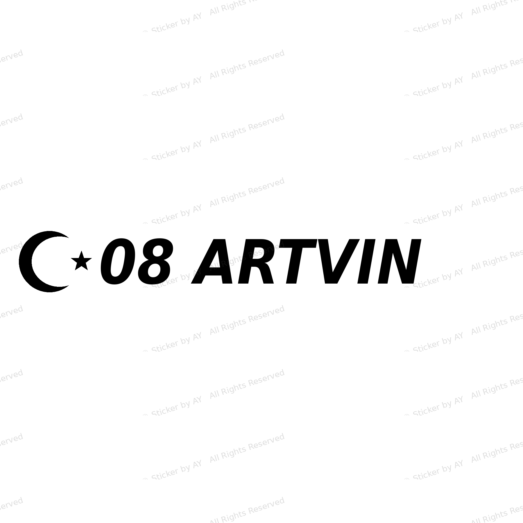 08 ARTVIN