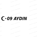 09 AYDIN