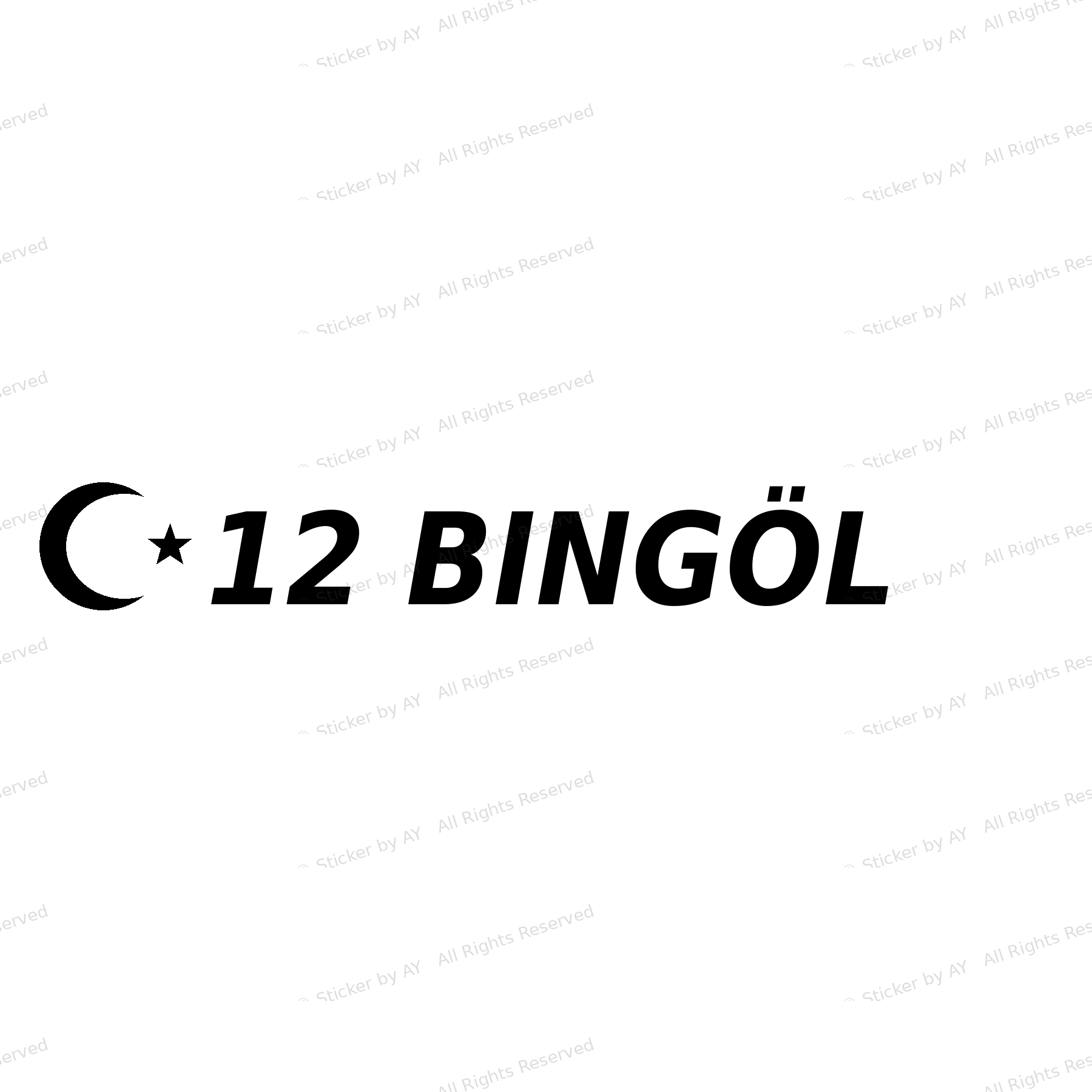 12 BINGÖL