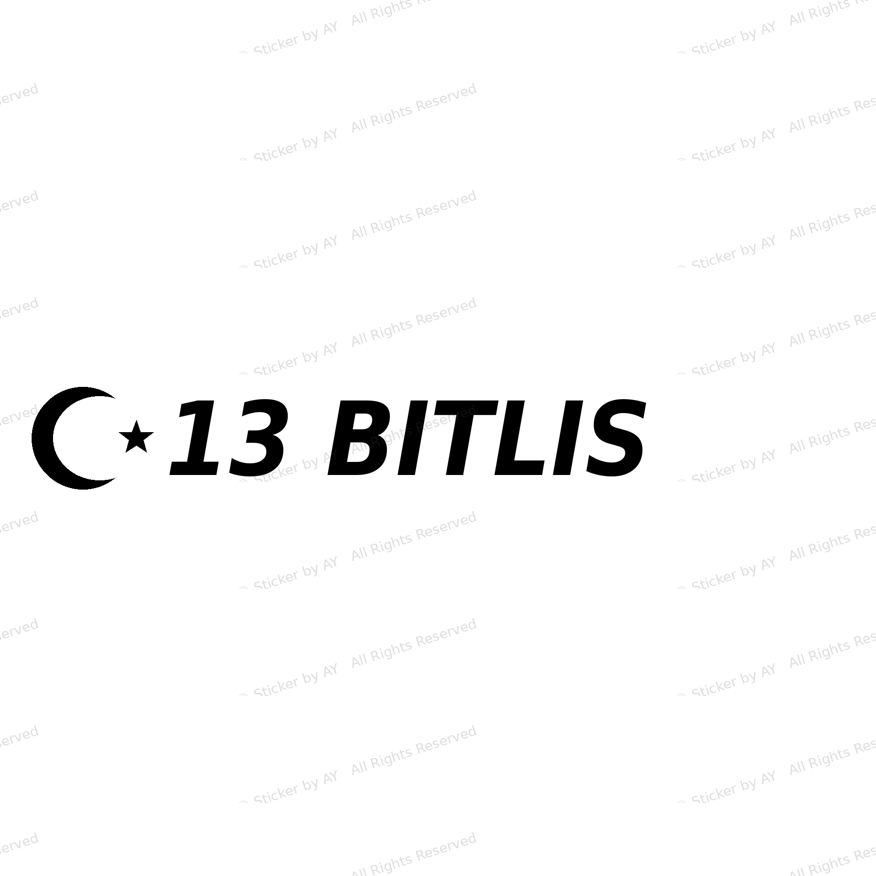13 BITLIS