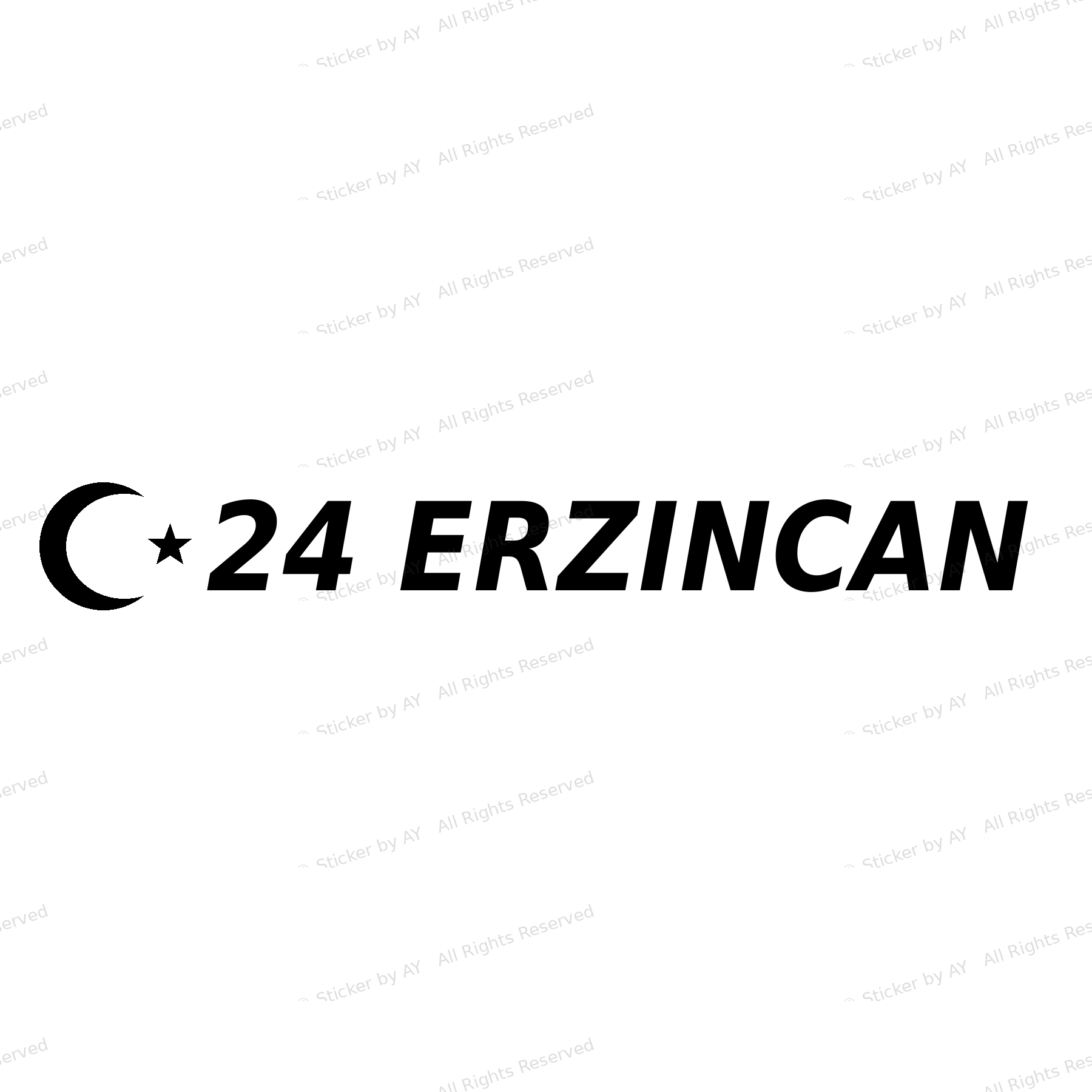 24 ERZINCAN