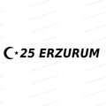 25 ERZURUM