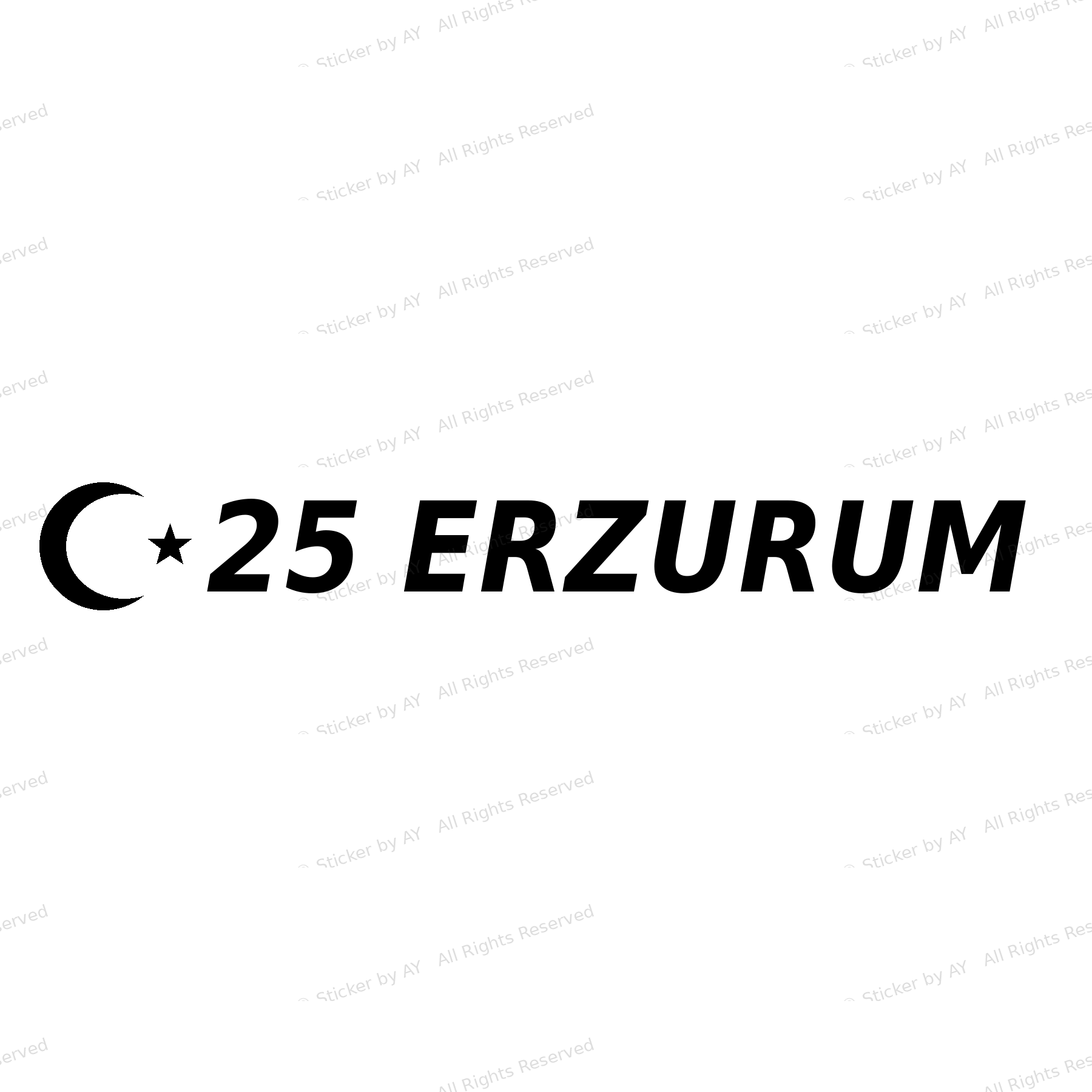 25 ERZURUM