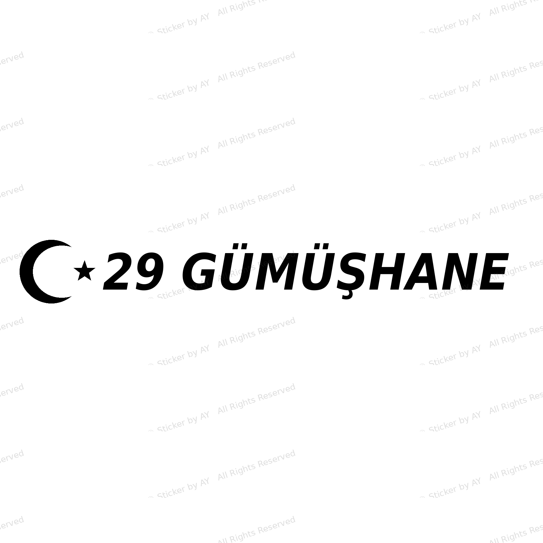 29 GÜMÜSHANE