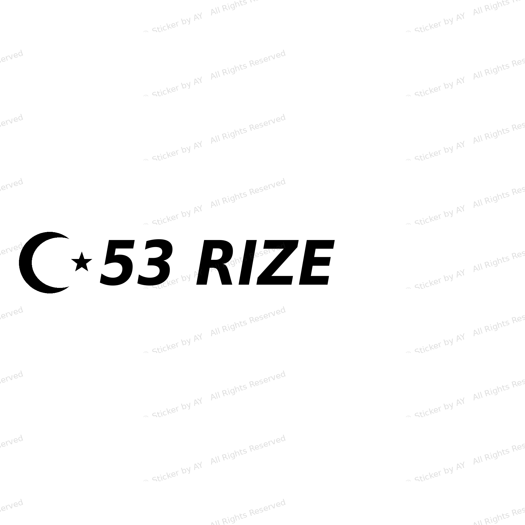 53 RIZE