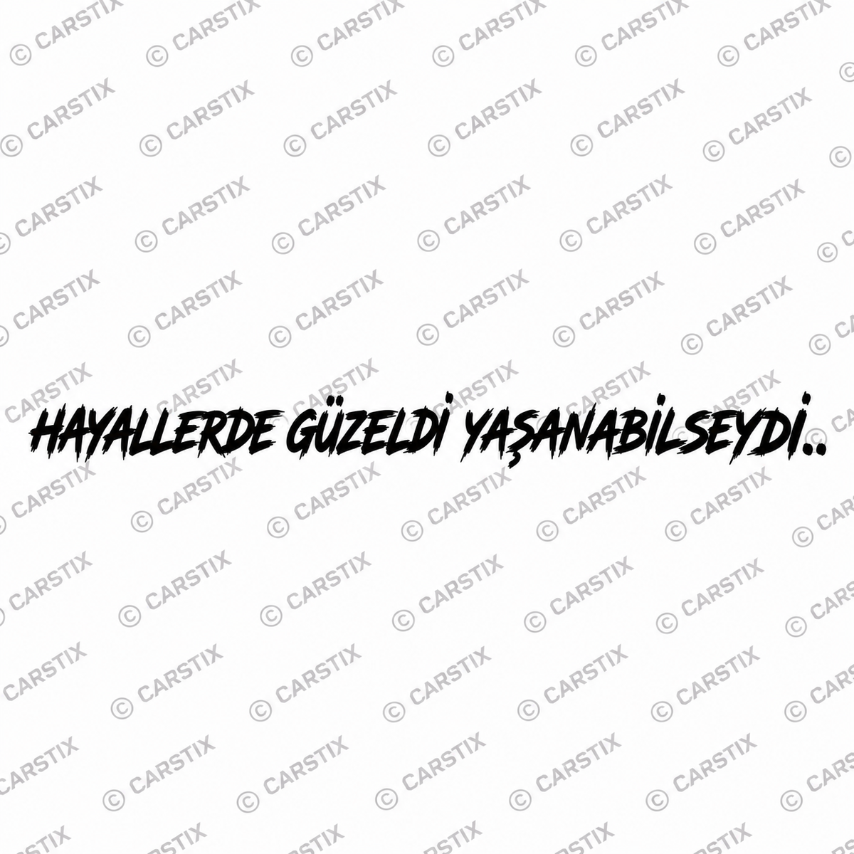 HAYALLER DE GÜZELDI YASANABILSEYDI (3cmx28cm)