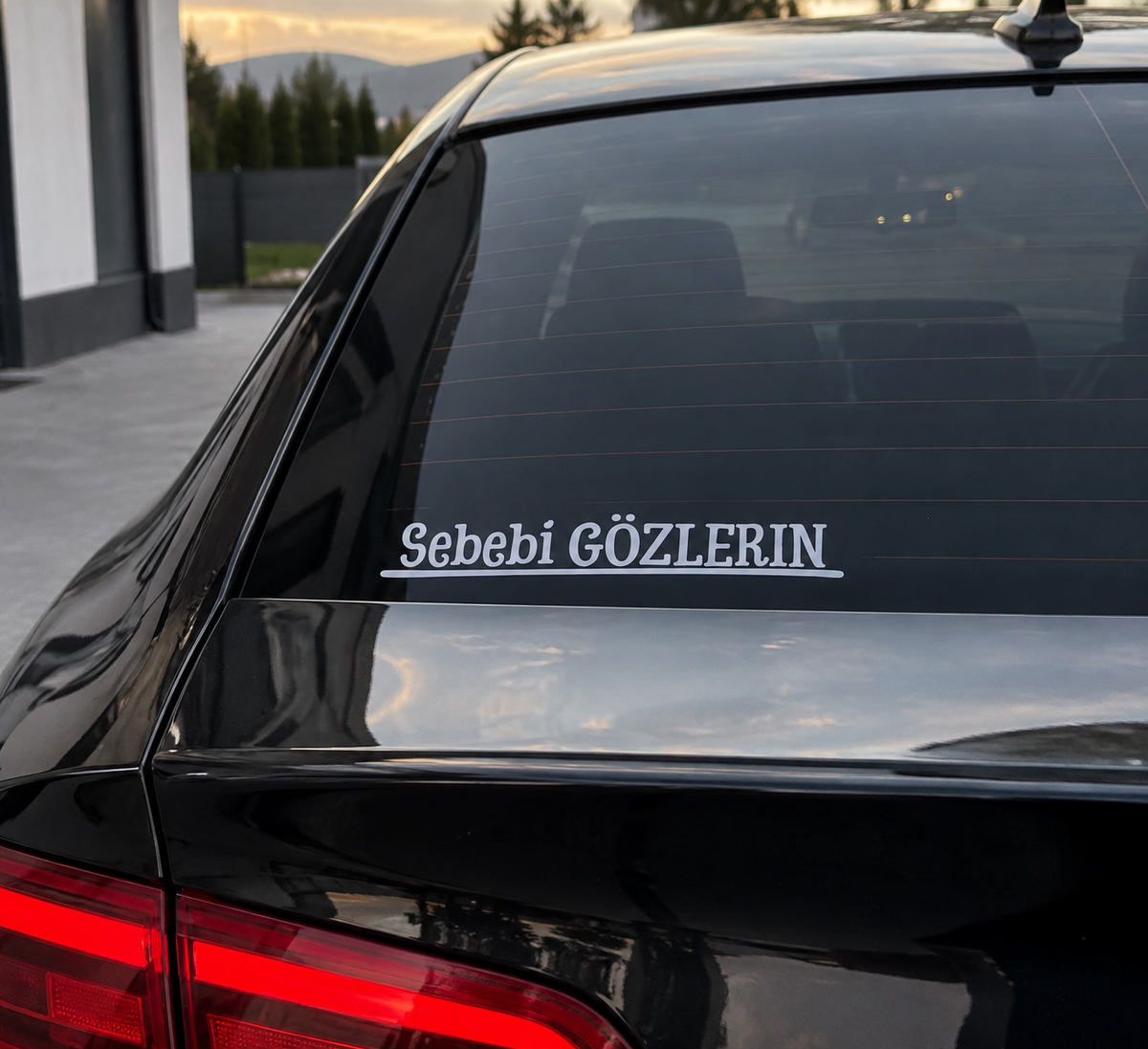 SEBEBI GÖZLERIN (3,5cm x 19cm)